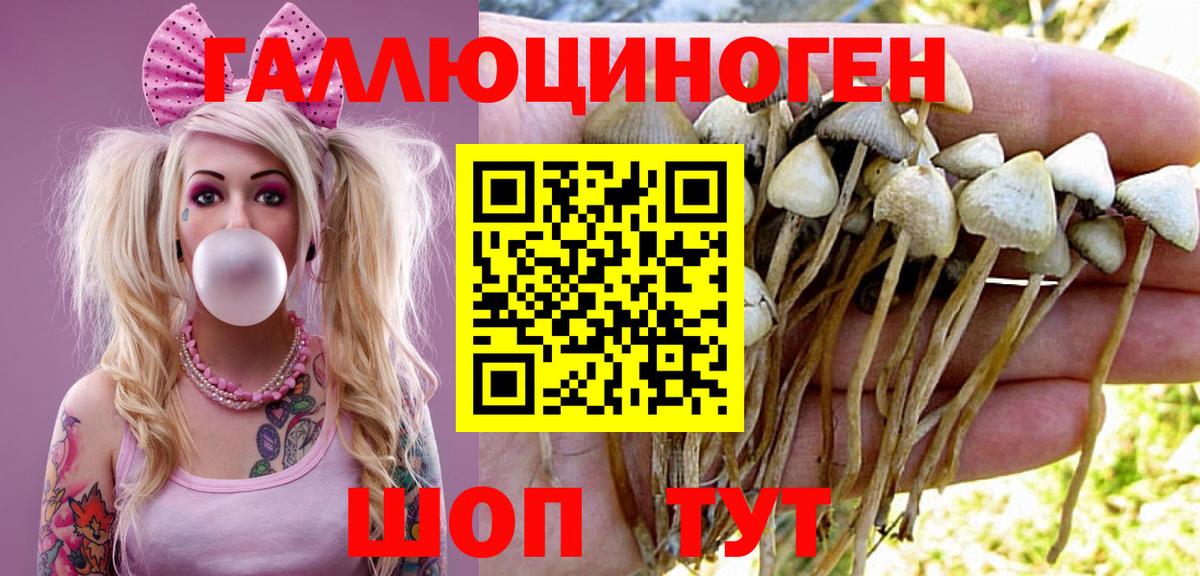 Псилоцибиновые грибы мицелий Прокопьевск